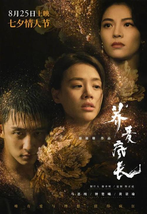 办理捷克护照电子版